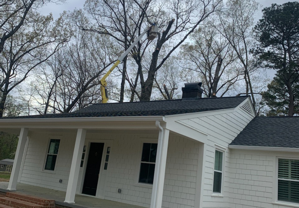  dangerous-tree-removal