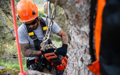 Your Trusted Tree Service in Gardendale, AL — Serving All Surrounding Communities